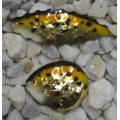 Walleye Spinner Blade